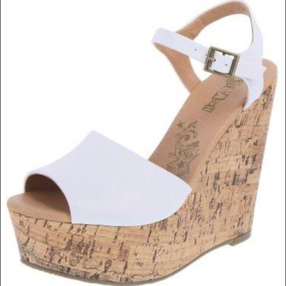 Brash wedge
